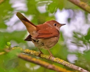 Nightingale Diamond Painting