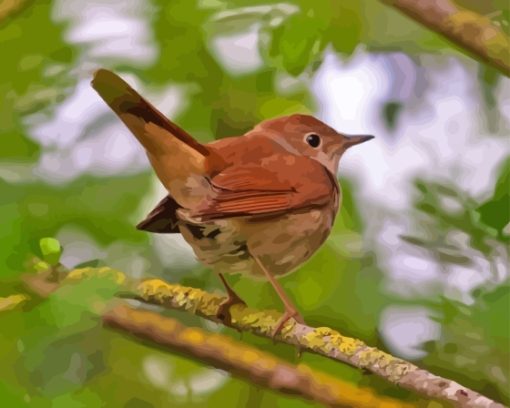 Nightingale Diamond Painting