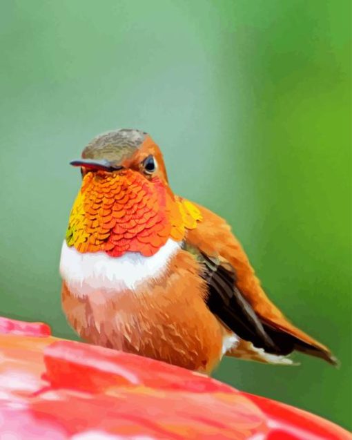 Rufous Hummingbird Front Diamond Painting