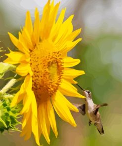 Sunflower With Hummingbird Diamond Painting