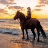 Woman With Horse At Sea Diamond Painting