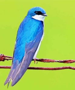 Blue Tree Swallow Bird Diamond Painting