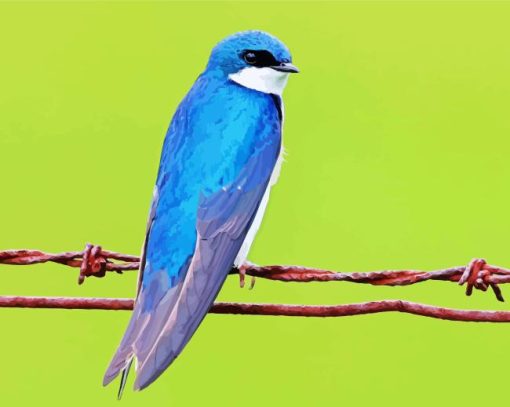 Blue Tree Swallow Bird Diamond Painting