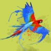 Parrot Splash Diamond Painting