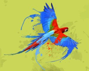 Parrot Splash Diamond Painting