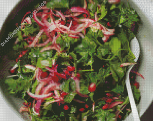 Parsley Onion Pomegranate Salad Diamond Painting