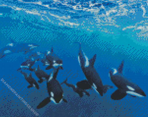 Orcas In Antarctica Diamond Painting