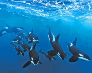 Orcas In Antarctica Diamond Painting