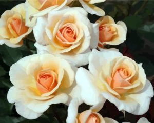 White And Orange Floribunda Diamond Painting