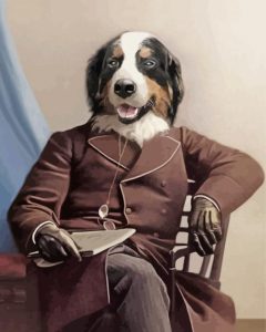 Mr Bernese Mountain Dog Diamond Paintings