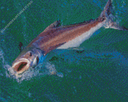 Cobia Fish Diamond Painting