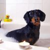 Dog In Bath Diamond Painting