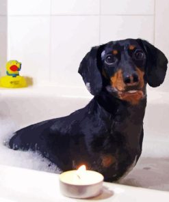 Dog In Bath Diamond Painting