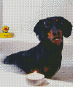 Dog In Bath Diamond Painting