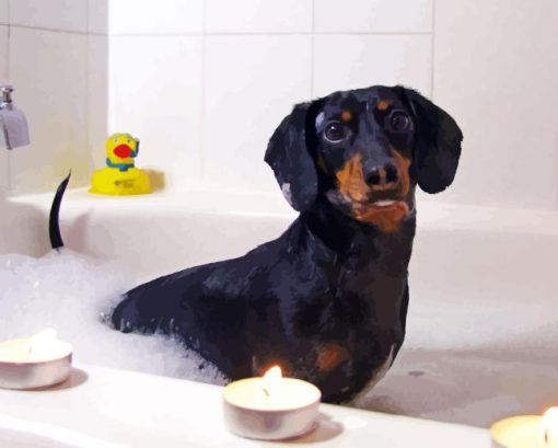 Dog In Bath Diamond Painting