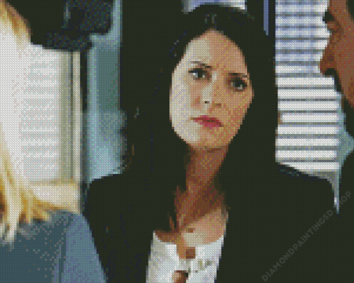 Emily Prentiss Diamond Painting