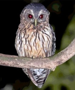 Marbled Owl Diamond Painting