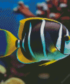 Moorish Idol Diamond Painting