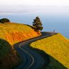 Mt Tamalpais Diamond Painting