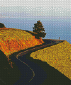 Mt Tamalpais Diamond Painting