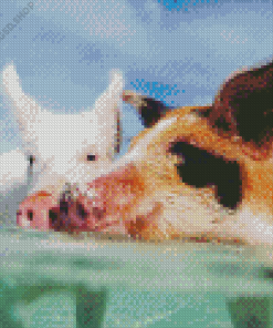 Pig In The Beach Diamond Painting