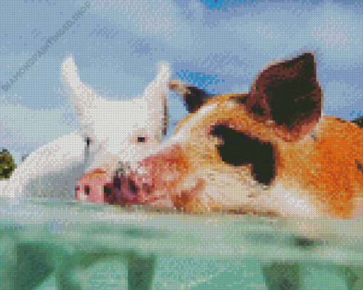 Pig In The Beach Diamond Painting