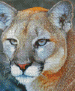 Puma Diamond Painting