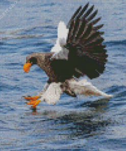 Sea Eagle Diamond Painting