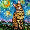 Starry Night Cat Diamond Painting