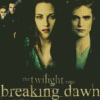 The Twilight Saga Diamond Painting