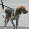 Treeing Walker Coonhound Diamond Painting