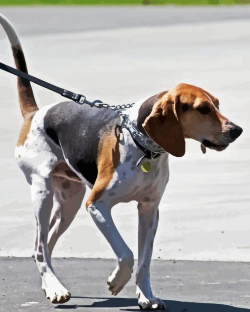 Treeing Walker Coonhound Diamond Painting