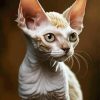 White Devon Rex Diamond Painting