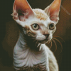 White Devon Rex Diamond Painting