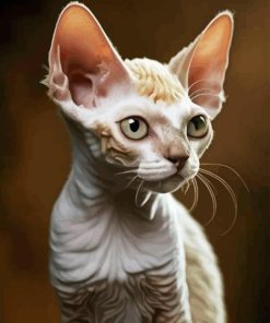 White Devon Rex Diamond Painting