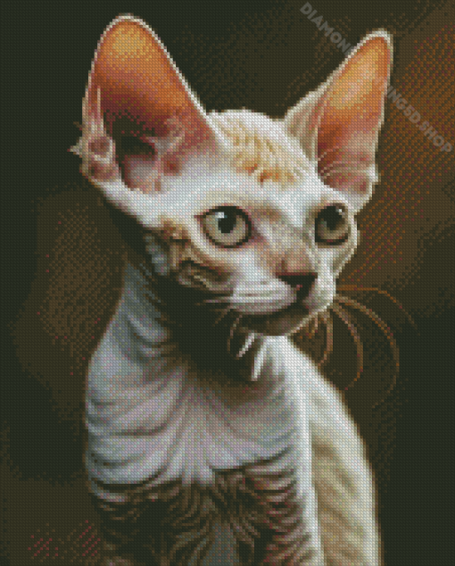 White Devon Rex Diamond Painting