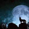 Wolf With Moon Diamond Painting