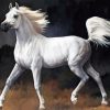 Arabian Horse Diamond Painting