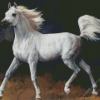 Arabian Horse Diamond Painting