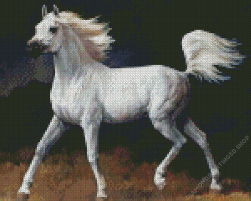 Arabian Horse Diamond Painting