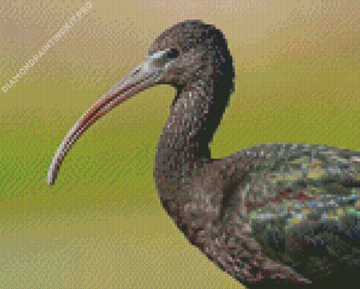 Black Ibis Diamond Painting