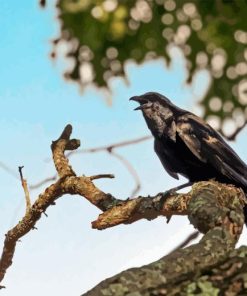 Dead Tree And Raven Diamond Painting