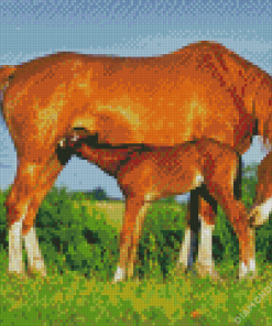 Mare And Foal Diamond Painting