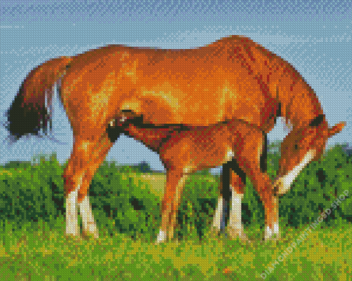 Mare And Foal Diamond Painting