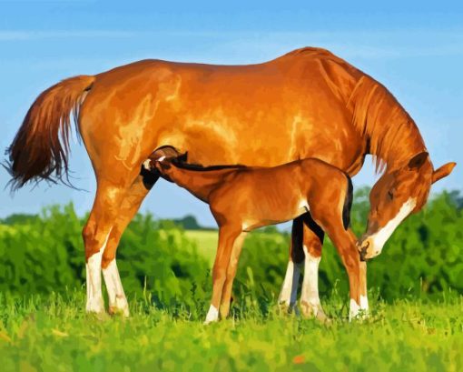 Mare And Foal Diamond Painting