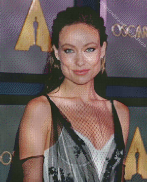 Olivia Wilde Diamond Painting