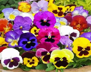 Pansy Flower Diamond Painting