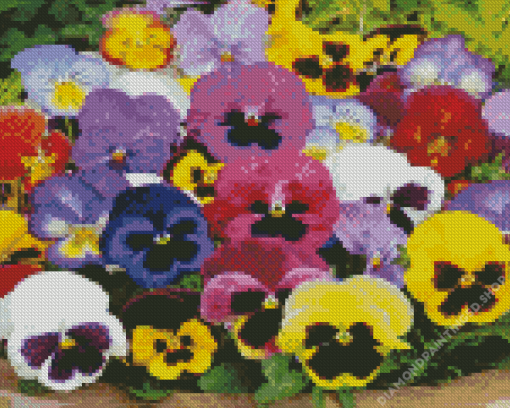 Pansy Flower Diamond Painting