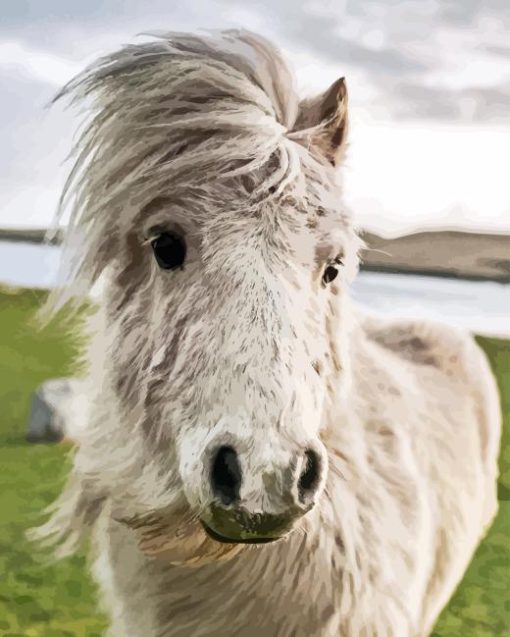 Shetland Pony Diamond Painting