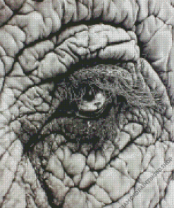 Elephant Eye Diamond Painting